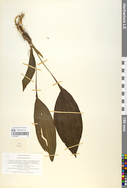 LE 01058272