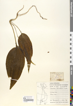 LE 01058280