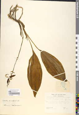 LE 01058281
