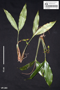 LE 01058163