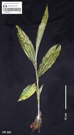LE 01058168