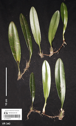LE 01058170
