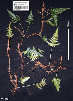 LE 01058178