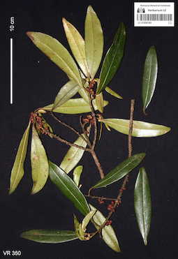 LE 01058189