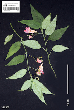 LE 01058191