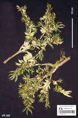 LE 01061514
