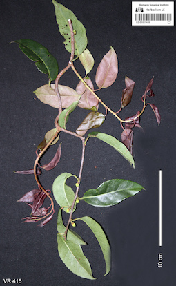 LE 01061449