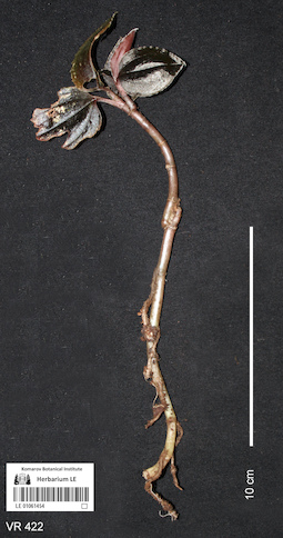 LE 01061454