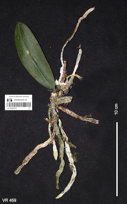 LE 01061475