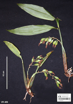 LE 01061476