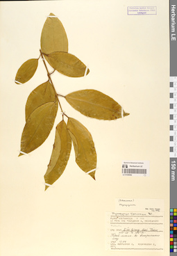 LE 01058592