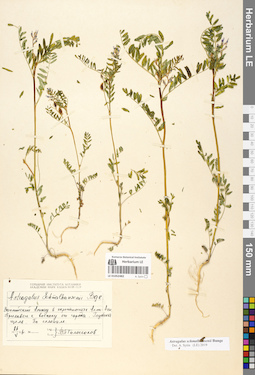 LE 01052482