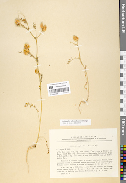LE 01052489