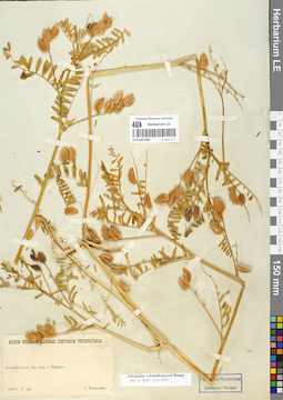 LE 01052490
