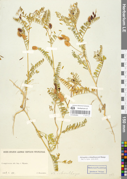 LE 01052491