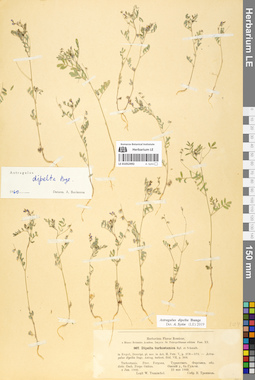 LE 01052492