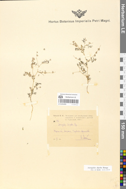 LE 01052495