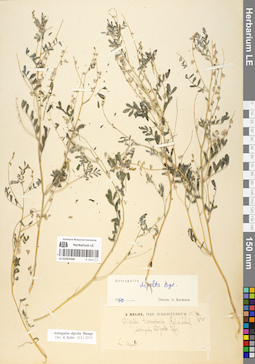 LE 01052498