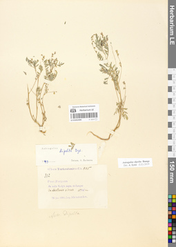 LE 01052499