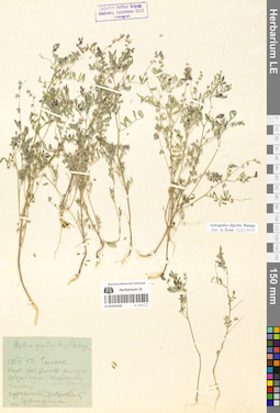 LE 01052505