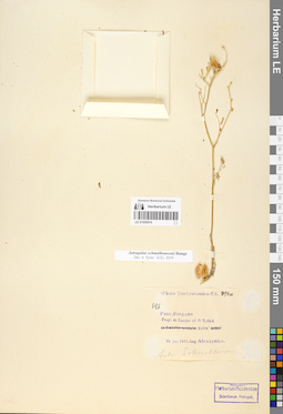 LE 01055574