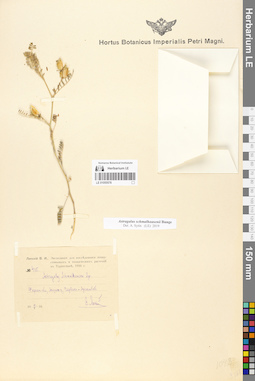 LE 01055578