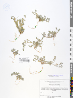 LE 01055602