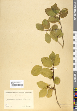 LE 01061529