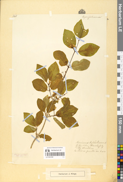 LE 01061550
