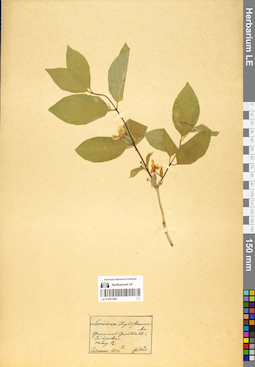 LE 01061566