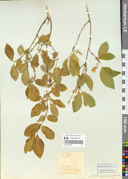 LE 01061624