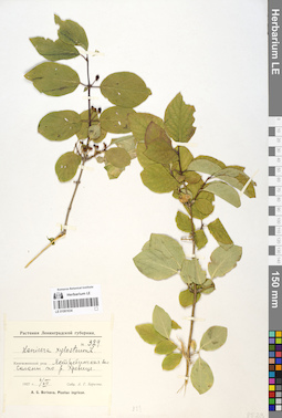 LE 01061634