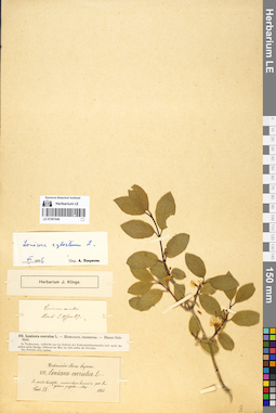 LE 01061640