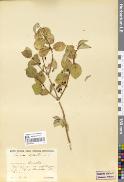 LE 01061644