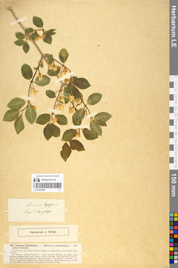 LE 01061649