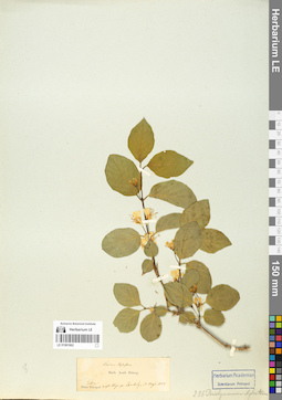 LE 01061662