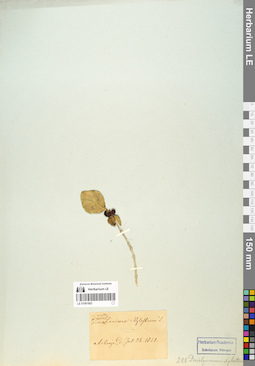 LE 01061663