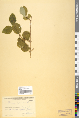 LE 01061668