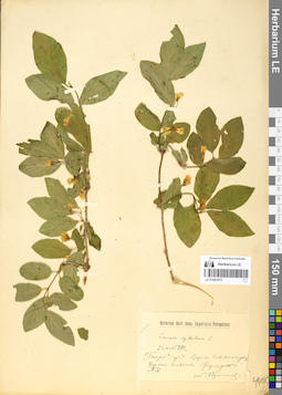 LE 01061673