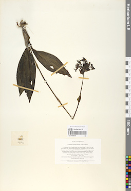 LE 01058330