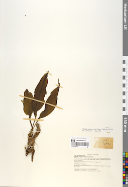 LE 01058344