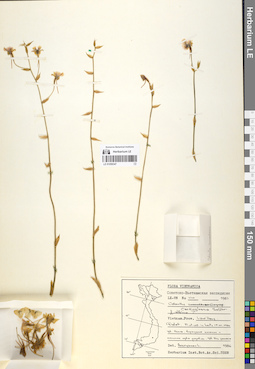 LE 01058347