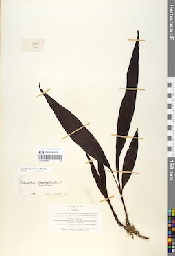 LE 01058369