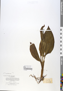 LE 01058384