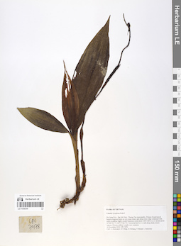 LE 01058399