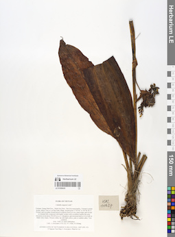 LE 01058435