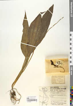 LE 01058439