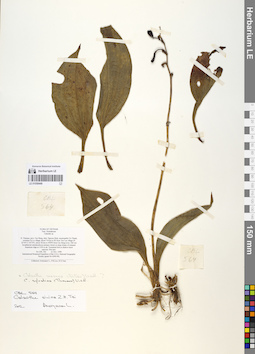 LE 01058449