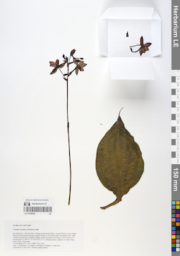 LE 01058452