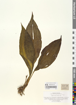 LE 01058461